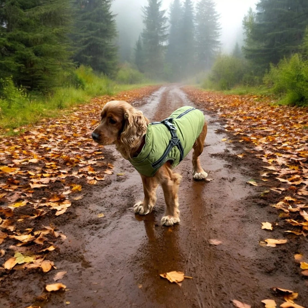 Waterproof Winter Dog Coat